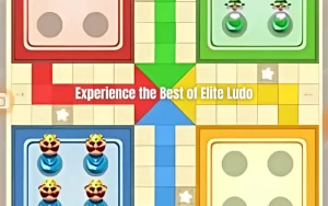 fastest ludo game